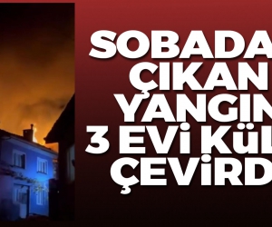 Sobadan çıkan yangın 3 evi küle çevirdi