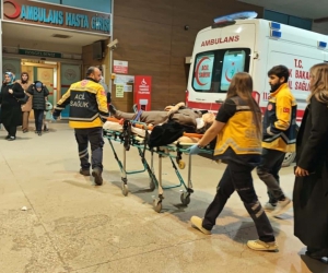 Alanyurt Yolunda Zincirleme Kaza: 2 Yaralı