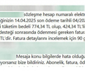 Elektrik Faturasına Devlet Desteği Sınırlaması Geldi!