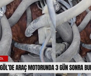 İnegöl'de araç motorunda 3 gün sonra bulundu!