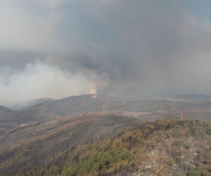 Bursa'da ki yangına kaç kişilik ekiple müdahale ediliyor