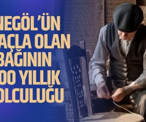 İnegöl’ün Ağaçla Olan Bağının 500 Yıllık Yolculuğu