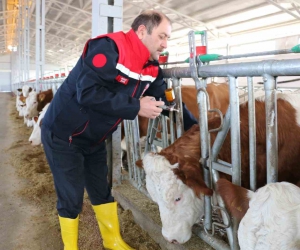 Ülke genelinde şap alarmı! Kırmızı et yemek güvenli mi?
