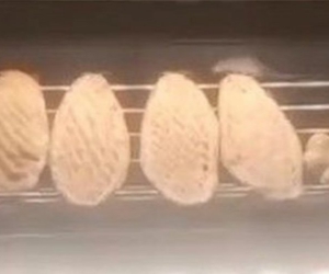 Ekmek rafında mide bulandıran görüntü!