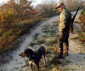 Ekosistem tehlikede! Av sezonu başlamadan yasaklar gelecek