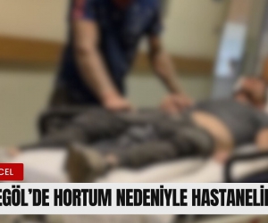İnegöl'de hortum nedeniyle hastanelik oldu!