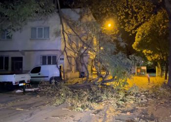 Bursa’da şiddetli rüzgar ağacı devirdi, yol kapandı