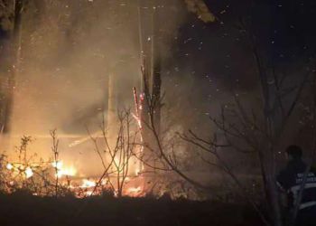 İnegöl'de Ormanlık Alana Sıçramadan Yangın Söndürüldü