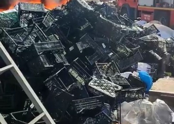 Geri dönüşüm fabrikasında yangın paniği