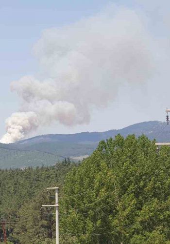 Bursa’da orman yangını...Uçaklar ve helikopterler sevk edildi