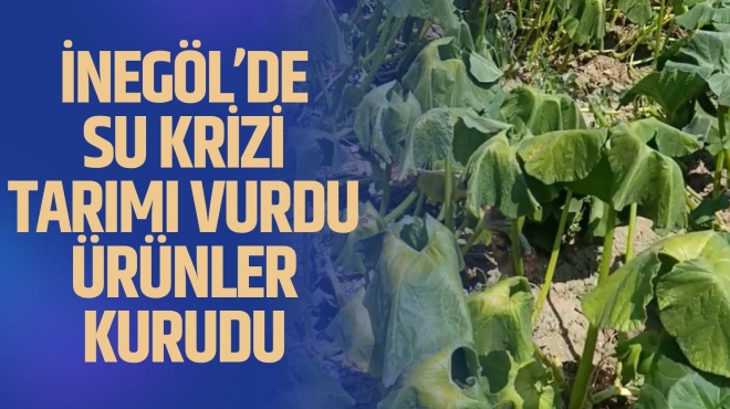 İnegöl'de ki su krizi tarımı vurdu! Ürünlerimiz kurudu