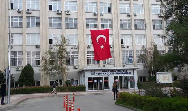 inegol online