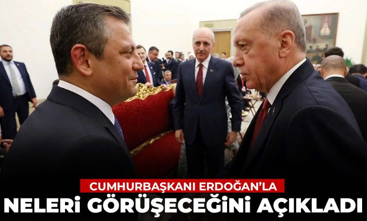 Özgür Özel, Cumhurbaşkanı Erdoğan ile neleri konuşacağını açıkladı