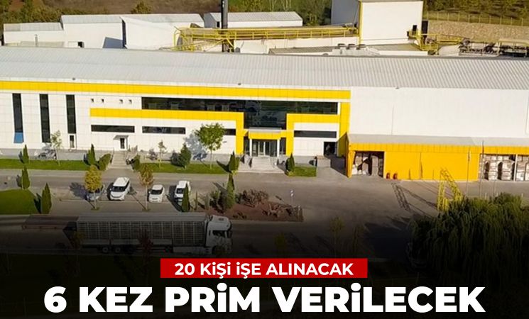 Bu firma 20 kişiyi işe alacak yılda 6 kez prim verecek