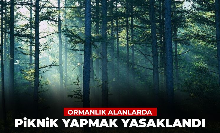 Bursa’da ormanlık alanda piknik yapmak yasaklandı