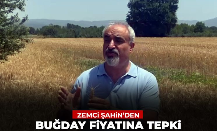 CHP İnegöl İlçe Başkanı Zemci Şahin: 'Buğday Taban Fiyatı Güncellenmeli, Çiftçi Zarar Ediyor'