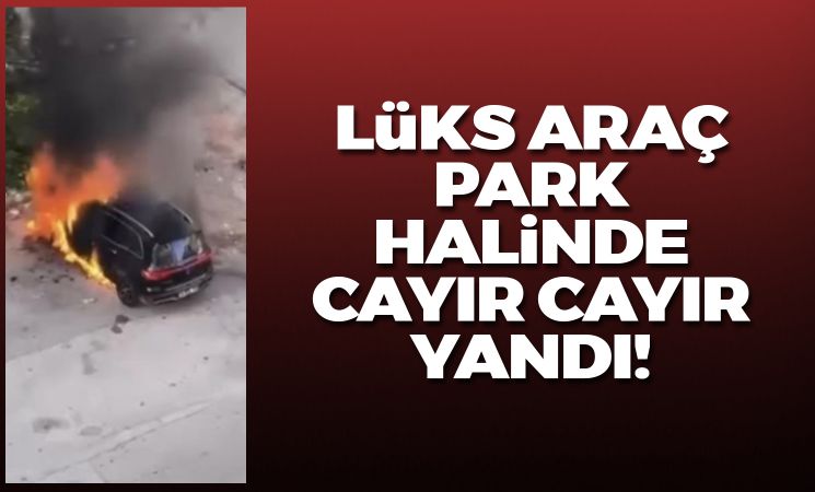 Lüks araç park halinde alev topuna döndü