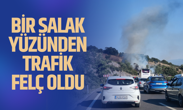 Arabadan atılan sigara izmariti yangına sebep oldu