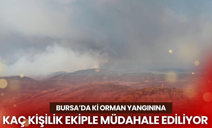 Bursa'da ki yangına kaç kişilik ekiple müdahale ediliyor