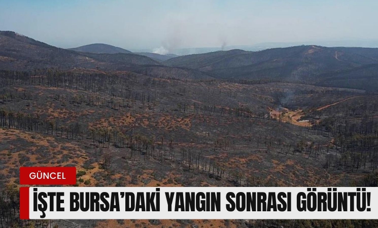Bursa'da yanan bölgeler havadan böyle görüntülendi!