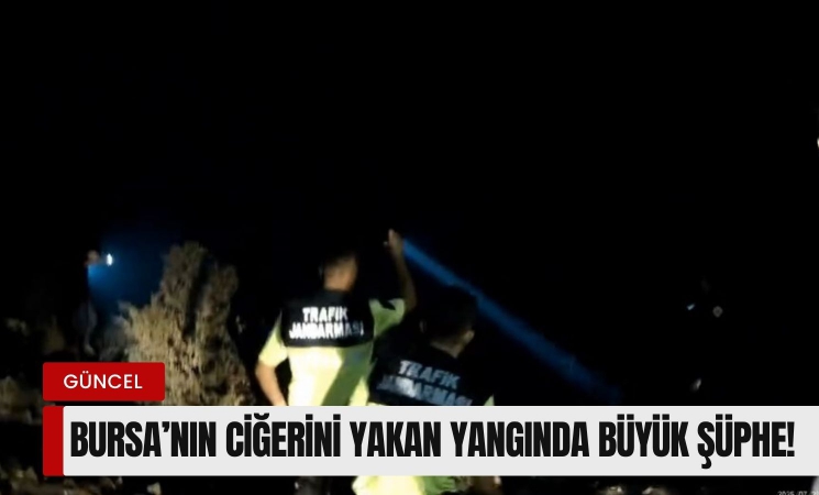 Bursa’nın ciğerini yakan yangınlarda büyük şüphe!
