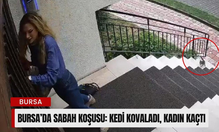 Bursa’da sabah koşusu: Kedi kovaladı, kadın kaçtı