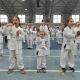 Osmangazi’de karate eğitim semineri