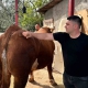 1 ton 200 kiloluk kurbanlık, araba fiyatına alıcısını bekliyor