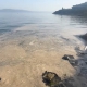 Gemlik’te müsilaj paniği