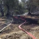 Mudanya’da korkutan yangın
