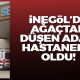 İnegöl'de ağaçtan düşen adam hastanelik oldu