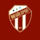İnegölspor'da neler oluyor? Süreç nasıl işleyecek? Aday çıkmazsa ne olacak?