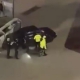 Kaza yapan alkollü sürücü kendini araca kilitledi