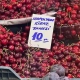 Kirazın fiyatını görenler büyük şok yaşıyor!