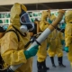 Chikungunya virüsü hızla yayılıyor! 