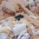 Mahmudiye Mahallesi'nde çöp isyanı!